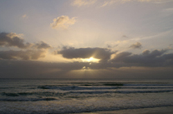 Sunrise over Manly Beach