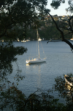 A boat in Sydney Harbor