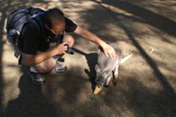 James with Kangaroo