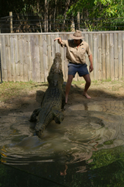 Croc handler with Croc