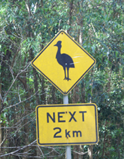 Emu Sign