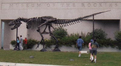 Tyrannosaurus Rex in front of the Museum of the Rockies