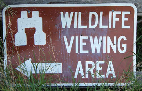 Wildlife Sign