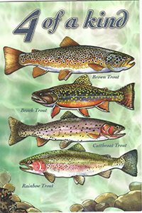 Types of Trout