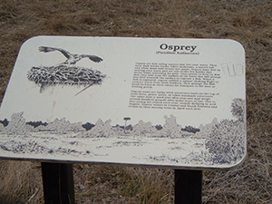 Osprey Sign