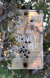 Survey marker