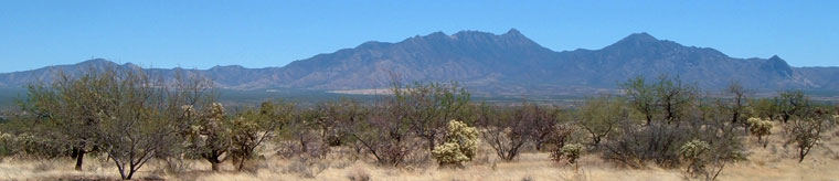 Panorama of desert