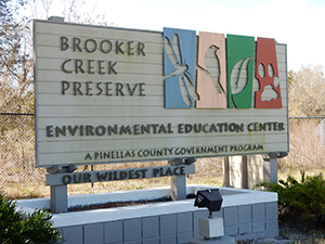 Brooker Creek