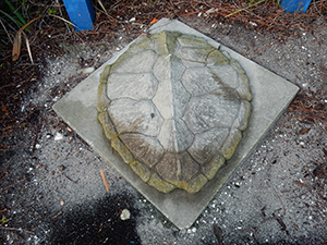 Sign of the Turtle