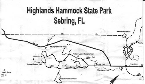 Highlands Hammock
