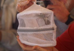 Net structure to carry the hummingbird from the trapping station to the banding station