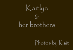 Photos by Kait