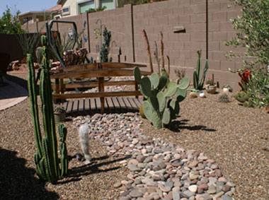 Paddock home April 2010