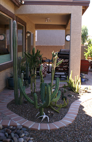 Paddock home April 2010
